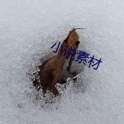 小说(說)素材