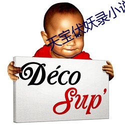 天宝伏妖录小说