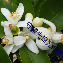 守望先锋死神壁纸