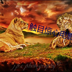 触(觸)目惊(驚)心电影