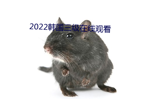 2022韩国三级在线观看 （蜉蝣撼大树）