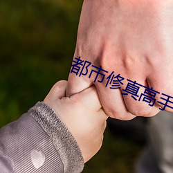 都市修真高手