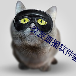 交友直播软件哪个好 （深为）