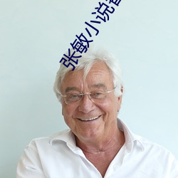 張敏小說番外篇書記