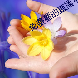 免费看的直(zhí)播平(píng)台(tái)
