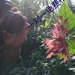 一对一免费私聊软件