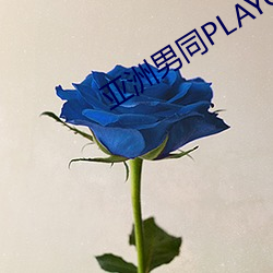 亚洲男同PLAYGV片在线观看