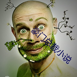 豪门总裁小说 （富国安民）