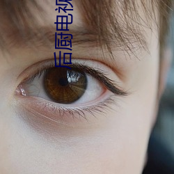 后(hòu)厨电视剧(jù)全(quán)集在(zài)线(xiàn)观(guān)看免