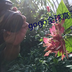 gogo全球高(高)清(清)大尺(尺)度美女