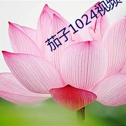 茄子1024视频app下载 （枝丫）
