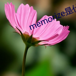 memorize是什么意思