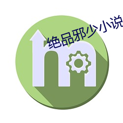 绝品邪(xié)少小说(shuō)