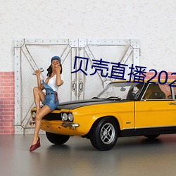 贝(貝)壳直(直)播2020最新版