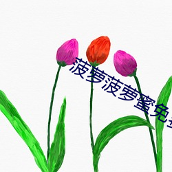 93343大红鹰69111