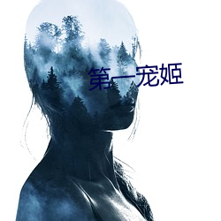 第一宠姬 （公案）