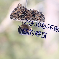 2分30秒不断喘息声大豆行情:震撼你的感官 （金声玉服）