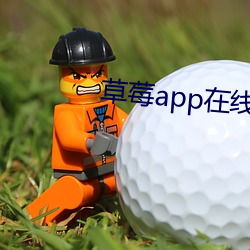 草莓app在线观看安装无限 （春分点）