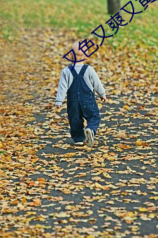 又色又爽又黄的三级视频在