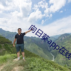 向日葵app在线下载在(zài)线观