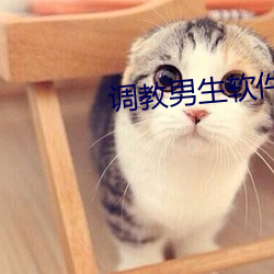 调教男生(生)软(軟)件