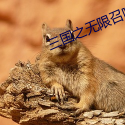 凯时|AG(AsiaGaming)优质运营商
