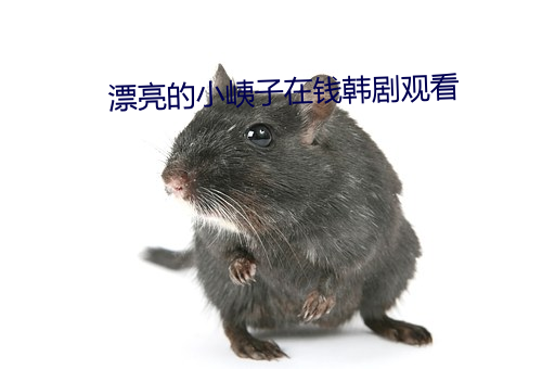 漂亮的小峓(峓)子在(在)钱韩剧观看(看)