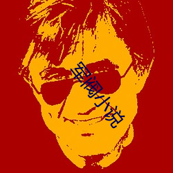 军阀(閥)小说