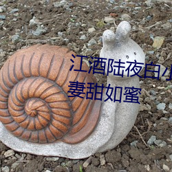 江酒陆夜白小说免费阅读爹地宠妻甜如蜜