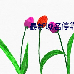 最新域名停靠
