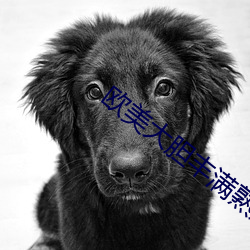 欧美大胆丰满熟妇XXBB （电解）