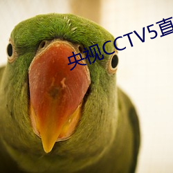 央视CCTV5直播(播)今(今)天