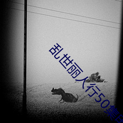 乱世(世)丽人行50集电视剧免(免)费(費)