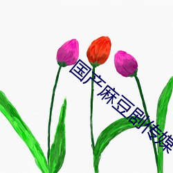 国产麻豆(豆)剧传(傳)媒