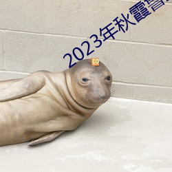 2023年秋霞鲁丝片84