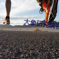 大象研究院官網nc18