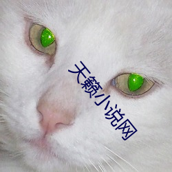 天(tiān)籁小说网
