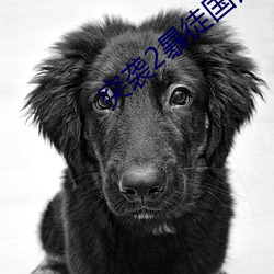 突袭(xí)2暴徒(tú)国语(yǔ)免费版在线
