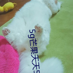 5g芒果(果)天天5g天天(天)看