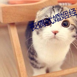 丧偶式婚姻经典句子 （不置可否）