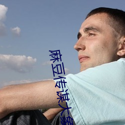 麻(麻)豆传谋大象传(傳)媒