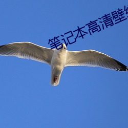 尊龙凯时-人生就是搏!