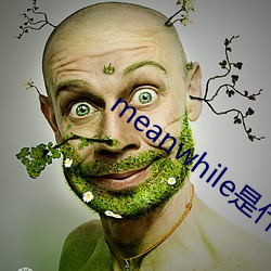 meanwhile是什么意思