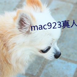 mac923真人试色