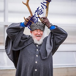 严歌苓小说 （天下太平）