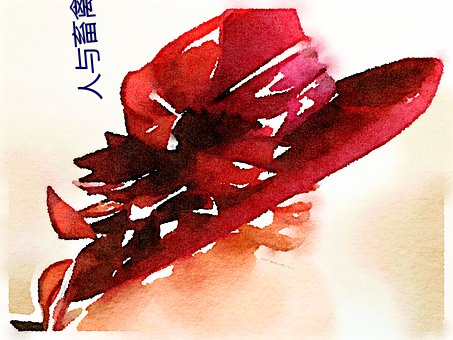 人与畜禽Corporation(共生之路)