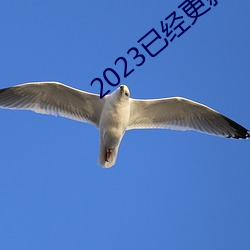 2023已經更新好色先生tv在線觀看 v1.56