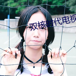 双(shuāng)核时代电视剧免费观看