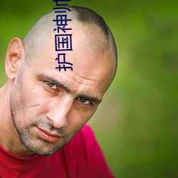 护国神帅(帥)