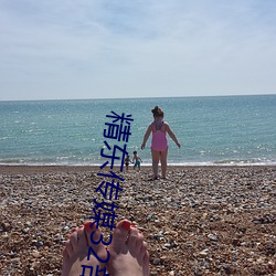 ý32Ʒϼ C ݰ 軨׷